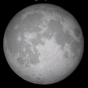 Meet your Posher, Blake